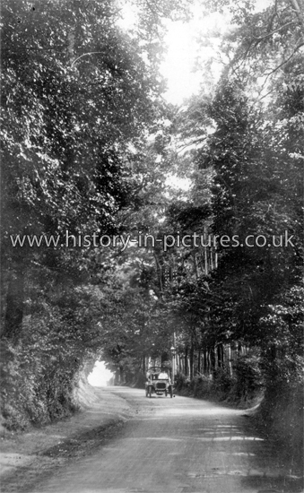 Cocker Lane, Enfield, Middlesex. c.1914